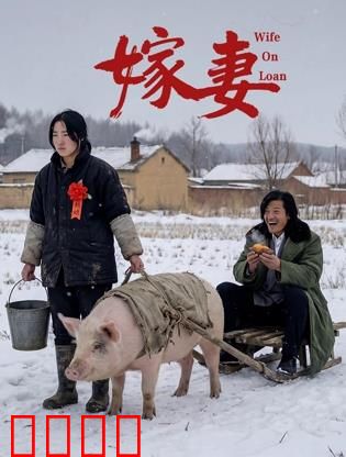 嫁妻：一场精心策划的骗局