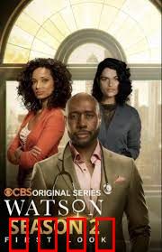 华生第二季：迷雾重重