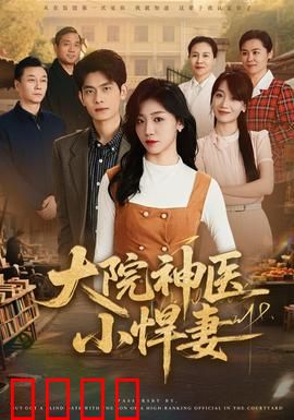 大院神医小悍妻：医手翻天
