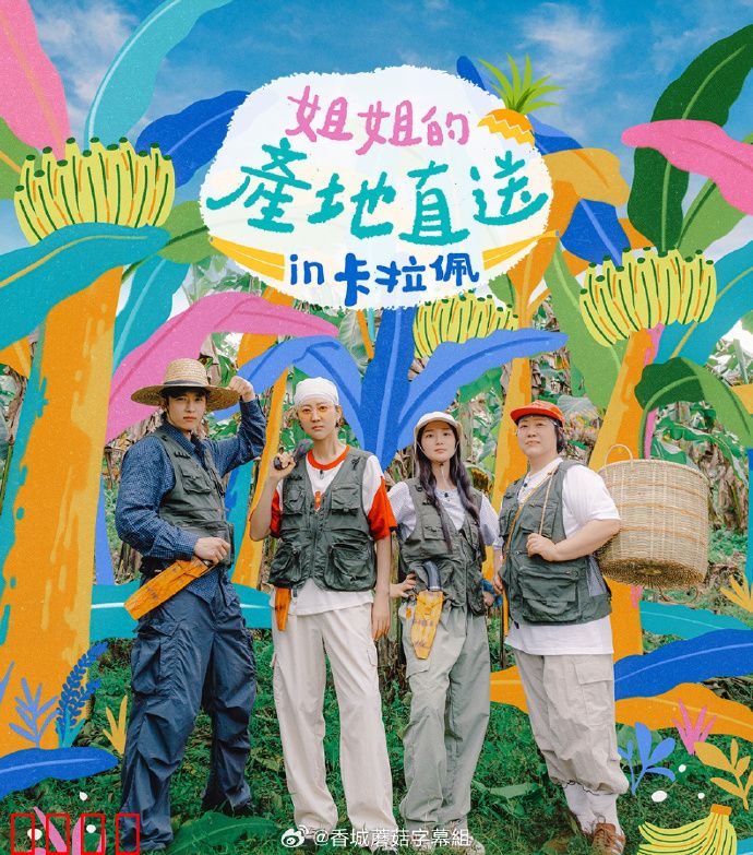 姐姐家的产地直送3：乡村姻缘风波