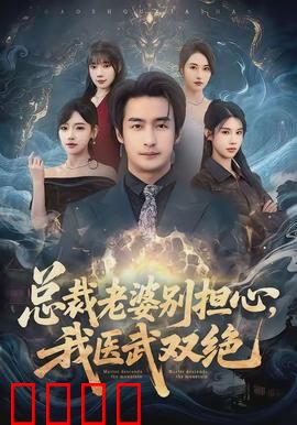 总裁老婆别担心，我医武双绝：逆袭之路