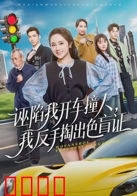 诬陷我开车撞人，我反手掏出色盲证：神级反杀