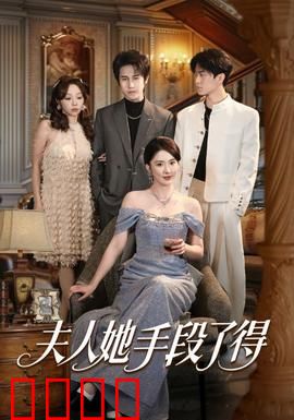 夫人她手段了得：职场女王归来