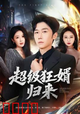 超级狂婿归来：逆袭商界巅峰