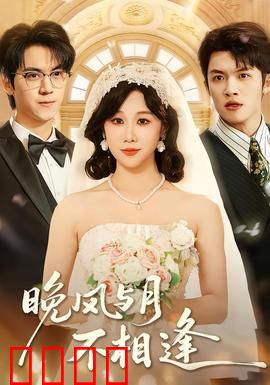 晚风与月不相逢：错过的时光