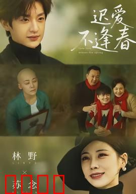 迟爱不逢春：错过的宿命