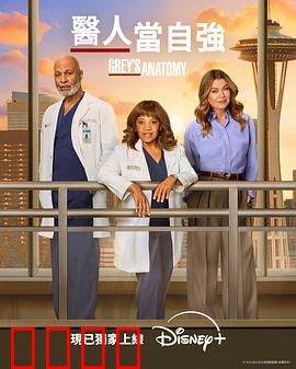 实习医生格蕾第二十二季：生死新篇章