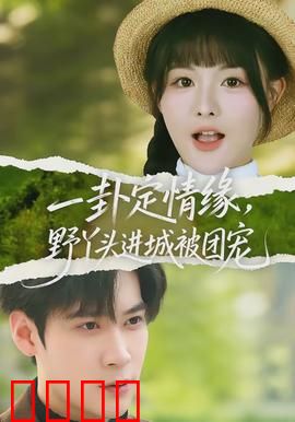 一卦定情缘，野丫头进城被团宠：卜卦逆袭豪门