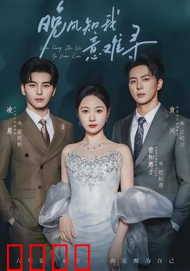 晚风知我意难寻：错过与治愈