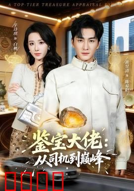 鉴宝大佬：逆袭捡漏