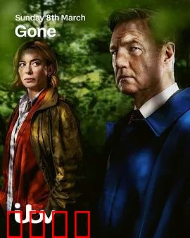 消失的妻子Gone：谁在说谎？