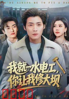 我就一水电工，你让我修大坝：逆袭水利之王
