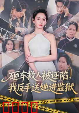 砸车救人被诬陷，我反手送她进监狱：正义反击