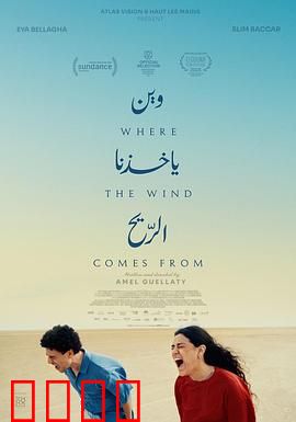 风来之所：风与命运的邂逅