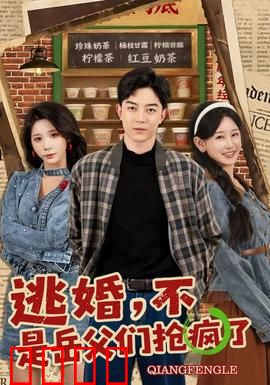 逃婚，不，是岳父们抢疯了：逆天相亲记