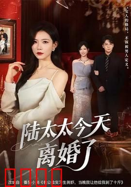 陆太太今天离婚了：逆袭女王