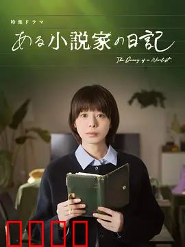 某小说家的日记：灵感与囚笼