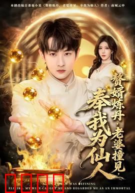 赘婿炼丹，老婆撞见，奉我为仙人：逆袭成仙