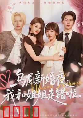 乌龙新婚夜，我和姐姐走错啦：姐妹花式闹婚