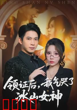 领证后，我气哭了冰山女神：逆袭甜宠