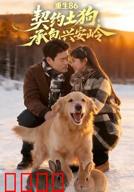 《重生86：重返巅峰》