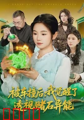 被车撞后，我觉醒了透视赌石异能了：赌石界新星