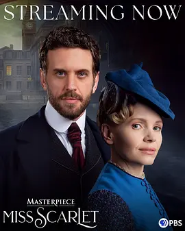 斯嘉丽小姐探案集第六季：暗夜魅影