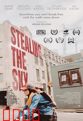 窃取天空：少年偷天梦
