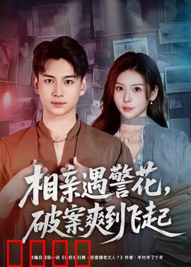 相亲遇警花，破案爽到飞起：缘起一线