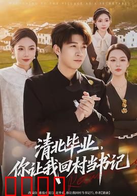 清北毕业，你让我回村当书记：逆袭人生