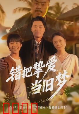 错把挚爱当旧梦：唯美虐恋终成空