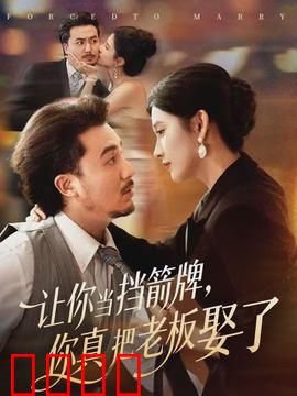 让你当挡箭牌，你真把老板娶了：职场逆袭蜜恋