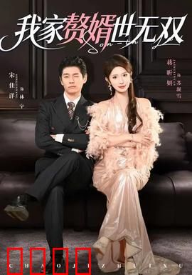 我家赘婿世无双：赘婿逆袭，打脸全场