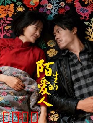 陌生的爱人：失忆后的谎言