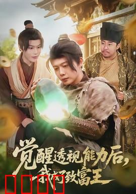 觉醒透视能力后，我成了致富王：赌石奇缘