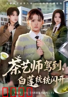 茶艺师驾到白莲统统闪开：茶道破心机