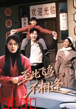 到此飞鸟不相逢：错过的宿命