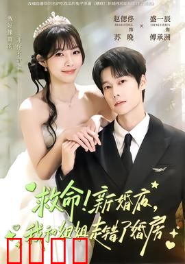 救命！新婚夜，我和姐姐走错了婚房：阴差阳错的甜宠