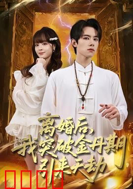 离婚后，我突破金丹期，引来天劫：逆袭渡劫