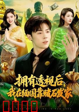 拥有透视后，我在缅国靠赌石发家：透视赌石，逆袭人生