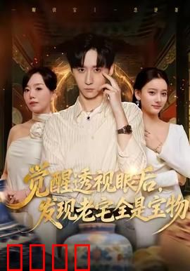 觉醒透视眼后，发觉老宅全是宝物：逆袭寻宝记