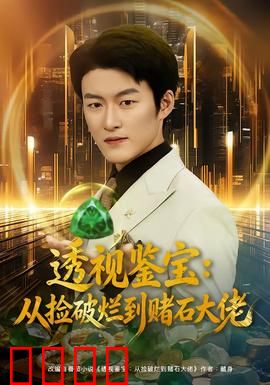 透视鉴宝：一眼辨真伪