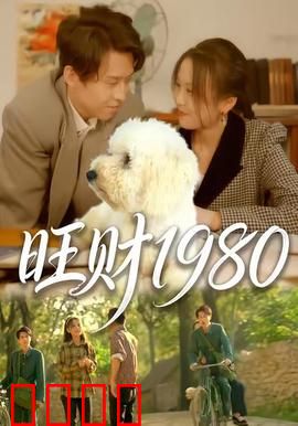 旺财1980：逆袭黑马