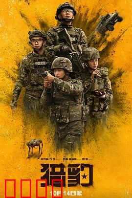 猎豹：暗夜追凶