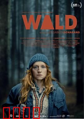 走出丛林：孤胆求生