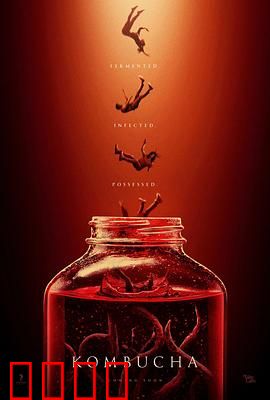 康普茶：发酵的欲望