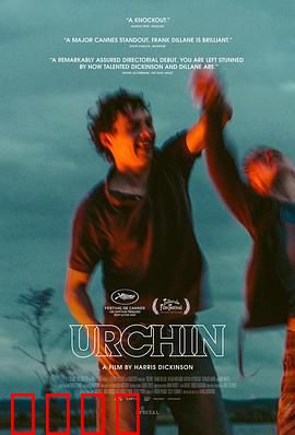 街头顽童：破茧成蝶