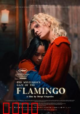 弗拉明戈的神秘眼神：爱之探戈