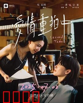 爱情重拍中：导演的终极告白