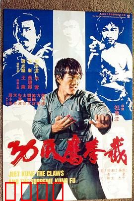 截拳鷹爪功粤语：武林绝技揭秘